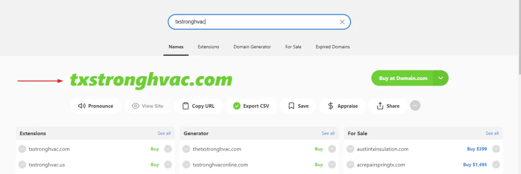 Domain Name Search (Screenshot)