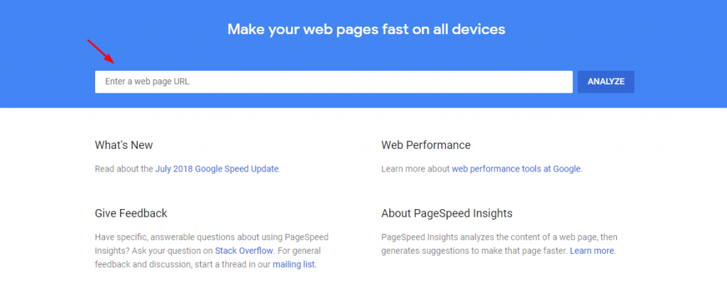 Google Page Speed Insights Screenshot