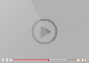 Video Player Screenshot Video Player Screenshot